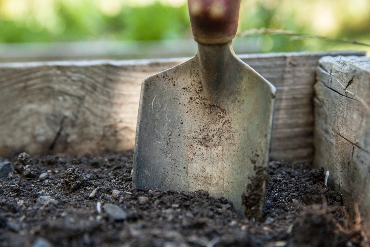 Osservatorio sulla Casa Quanto costa un giardiniere? Range di prezzi per i vari possibili lavori Osservatorio sulla Casa Quanto costa un giardiniere? Range di prezzi per i vari possibili lavori