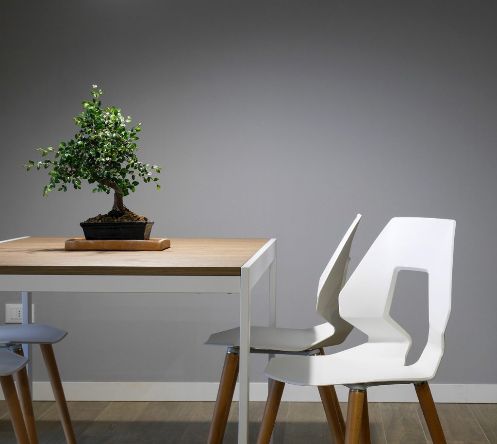 Bonsai verda sul tavolo
