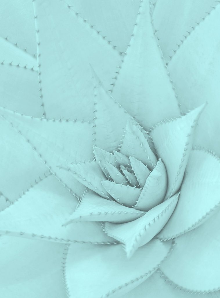 color tiffany